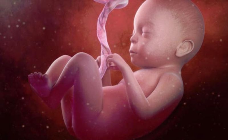 Η θέση του εμβρύου επηρεάζει τον τρόπο που θα γεννηθεί