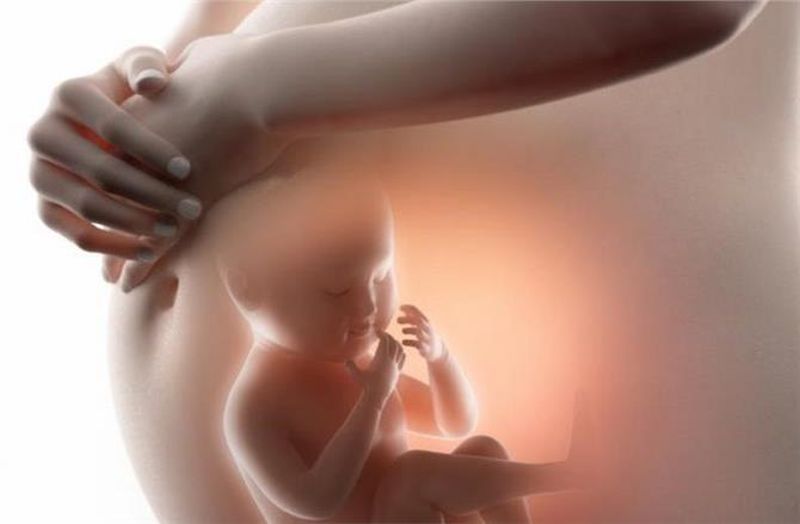 Τι καταλαβαίνουν τα έμβρυα;