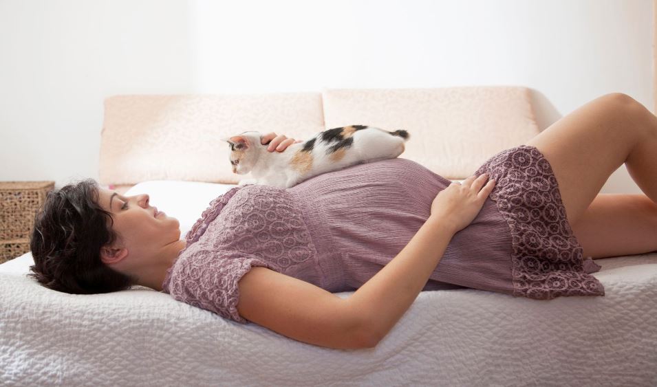 Τοξόπλασμα στην Εγκυμοσύνη: Όλα όσα πρέπει να γνωρίζετε