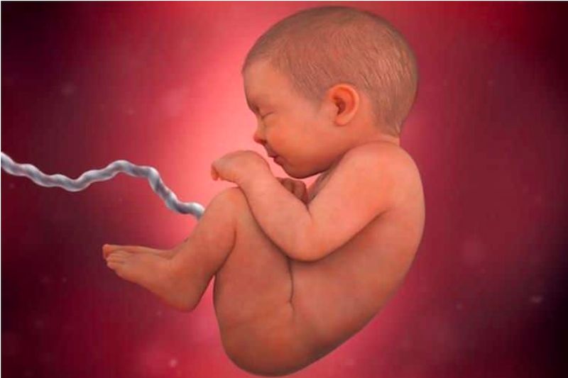 Τι μπορεί να δει ένα έμβρυο στην κοιλιά;